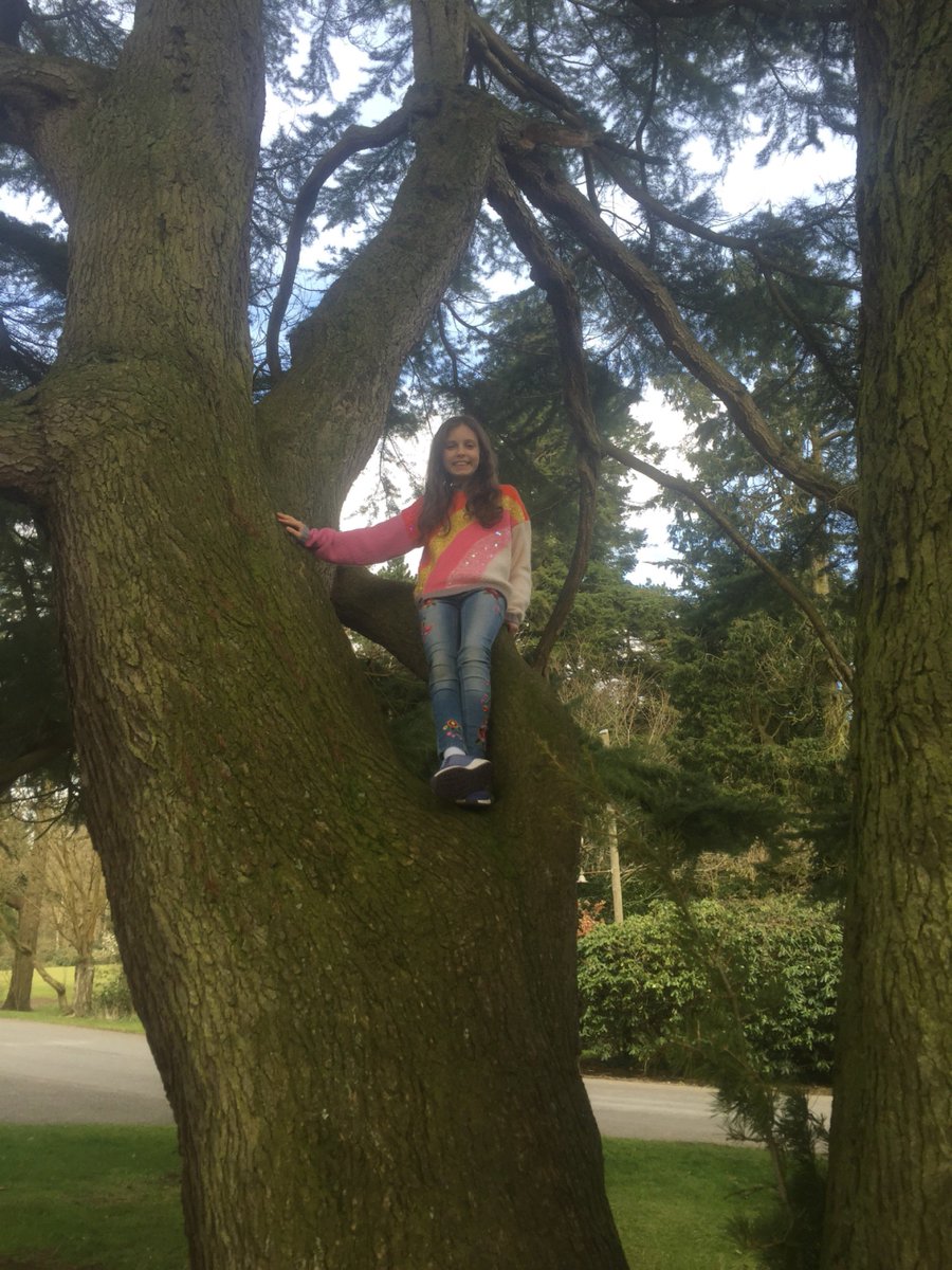 KittyOShea7's tweet photo. Sister dear climbed a tree...myself? Major injuries inflicted as I tapped into my evolutionary genetics...that of an ape...😂 https://t.co/FIl3G7drqY