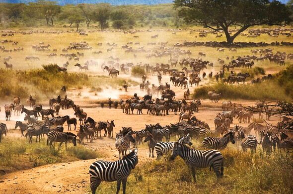 Looking for a freelance travel journalist who will be in Africa in April for an exciting opportunity #prrequest #journorequest #presstrip