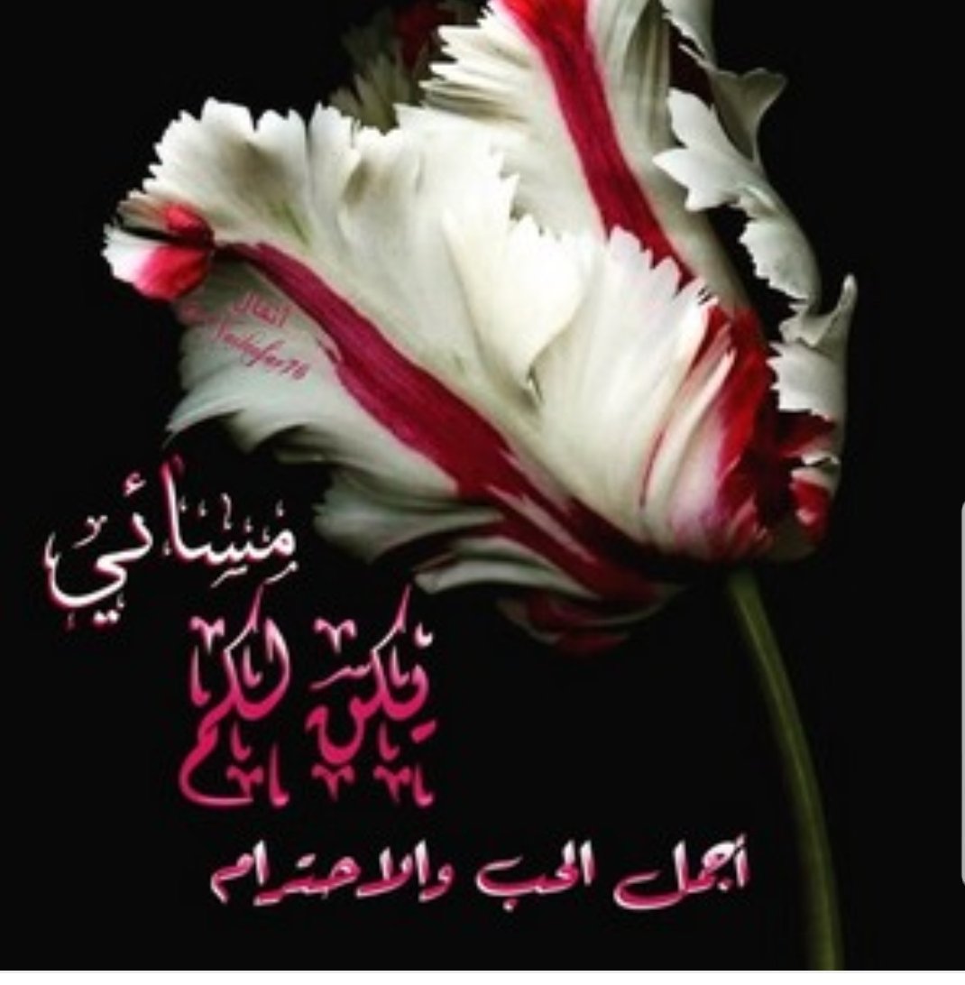 سلام على الذين لاتغيرهم الظروف
ولاتمنعهم حدود ولا يمنحوك سوى
أبتسامتهم الصادقة🧡
#مساءالحب 💕