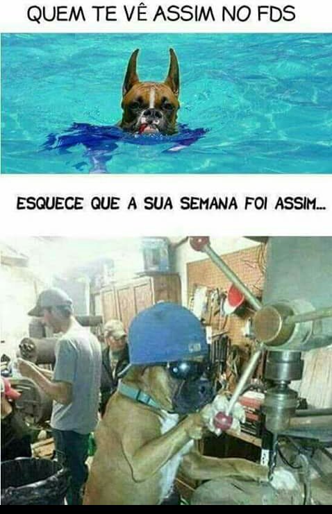 Meu amigo <a href="/deivinalves82/">Deivin</a> no fim de semana.