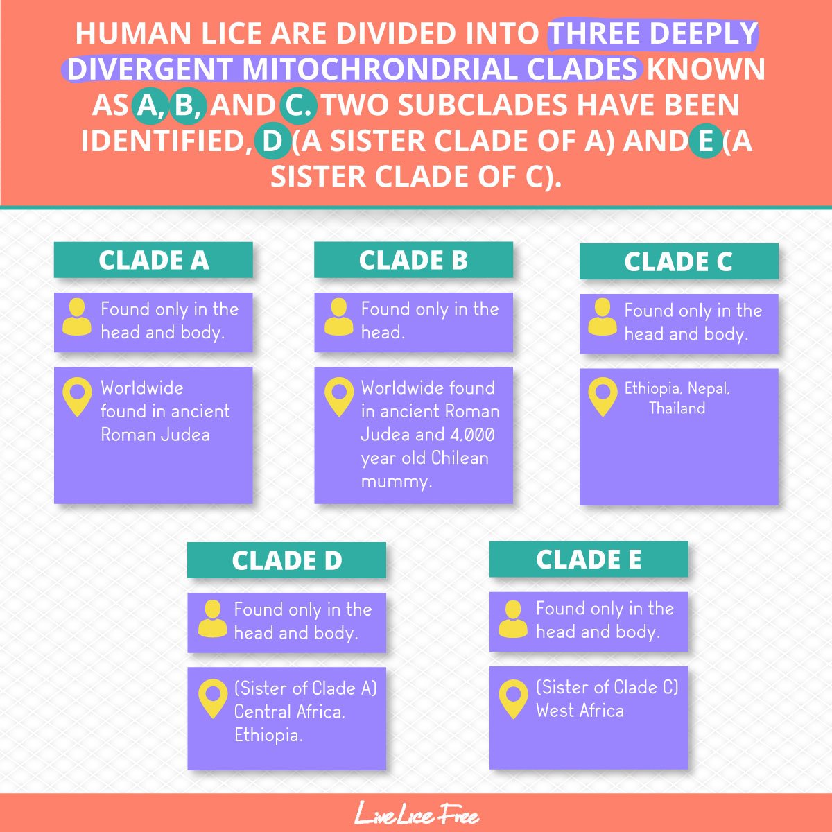 LiveLiceFree's tweet photo. #Headlice divided as Mitochondrial clades.
#Lice #Headlouse #Licefacts #Livelicefree https://t.co/ij3ZiO8yQP