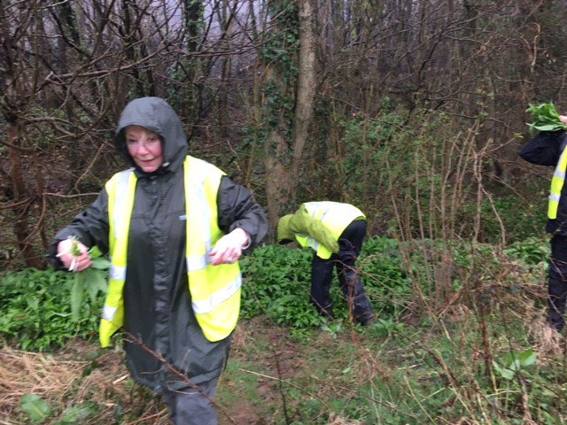 slimmeria's tweet photo. Magic walk this morning with a very magic group. How was your Tuesday morning? #magictree #magicmud #magicwildgarlic #Slimmeria #Sussex #HyeHouse #detox #retreat #health #fitness #diet #weightloss https://t.co/n3ruMqhrTo