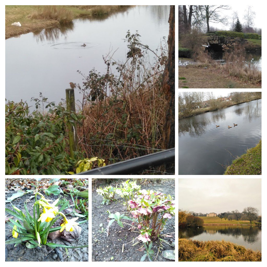 ThePlacedn12's tweet photo. Our 'technology' training sessions are becoming increasingly popular as part of @BigLotteryFund #PlaceForPeople #AwardsForAll project.
It is great to see people learning new skills and putting them into practice. Here's some collage examples!
#doncasterisgreat #southyorkshire https://t.co/MXX2BlQ6Pr
