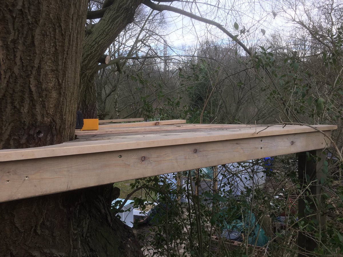Part of yesterday's tree house build