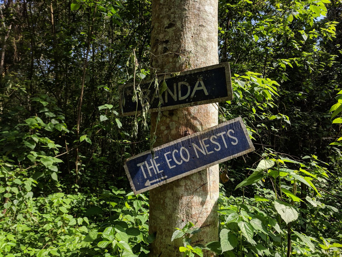 LandRoverUganda's tweet photo. As we were 
#LandRoverUganda #LandRoverUgandaClub #CastrolUganda #MogasUganda #MabiraForest #LandRoverEvent #EventsUganda #RoadTrip #RoadDrive #Uganda #Ziplinning #Camping #ForestWalk #MangabeyTracking #GriffinFalls #BirdWatching #TeamBuilding #SafeRoadsUG #MabiraFamilyDrive https://t.co/QabtCfeZv8