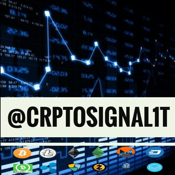 cryptosignal1t's tweet photo. #NewProfilePic https://t.co/42qk0xfRpK