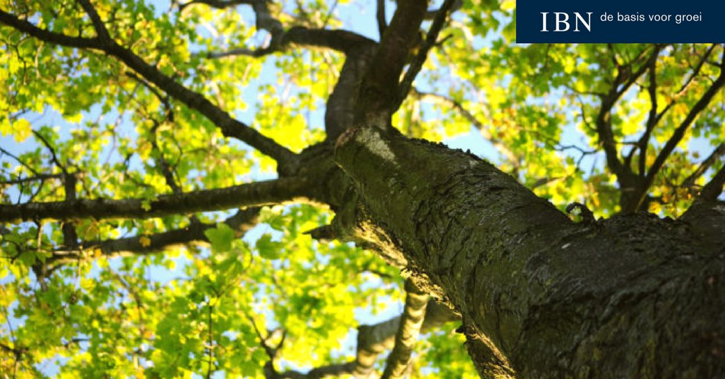 MarkoTerpstra tweet media