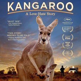 This month I became aware of the atrocious #kangaroo culling motivated by #tradeagreements. #Australia‘s symbol has become a lucrative source selling its skin & meat. Let down by Aus govt @leerhiannon @MarkPearsonMP are on a mission for overseas support #EU @PartijvdDieren
