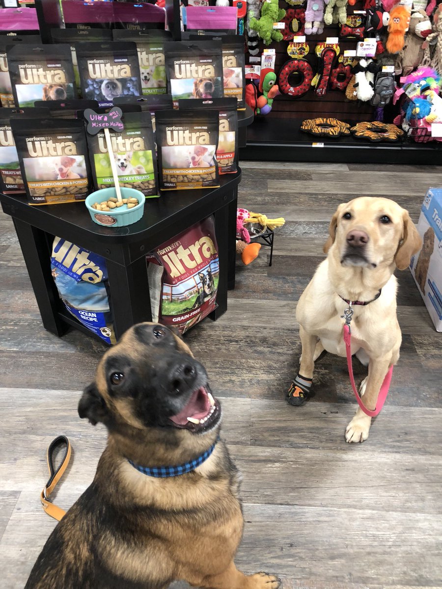 leapingmaise's tweet photo. We love shopping! #bluedockdogs #bluebuffalo #dockdogs #duelingdogs #dudowc18 #coolaidrecovery #notallathletesarehuman #abfttb https://t.co/K6EhMrbLps
