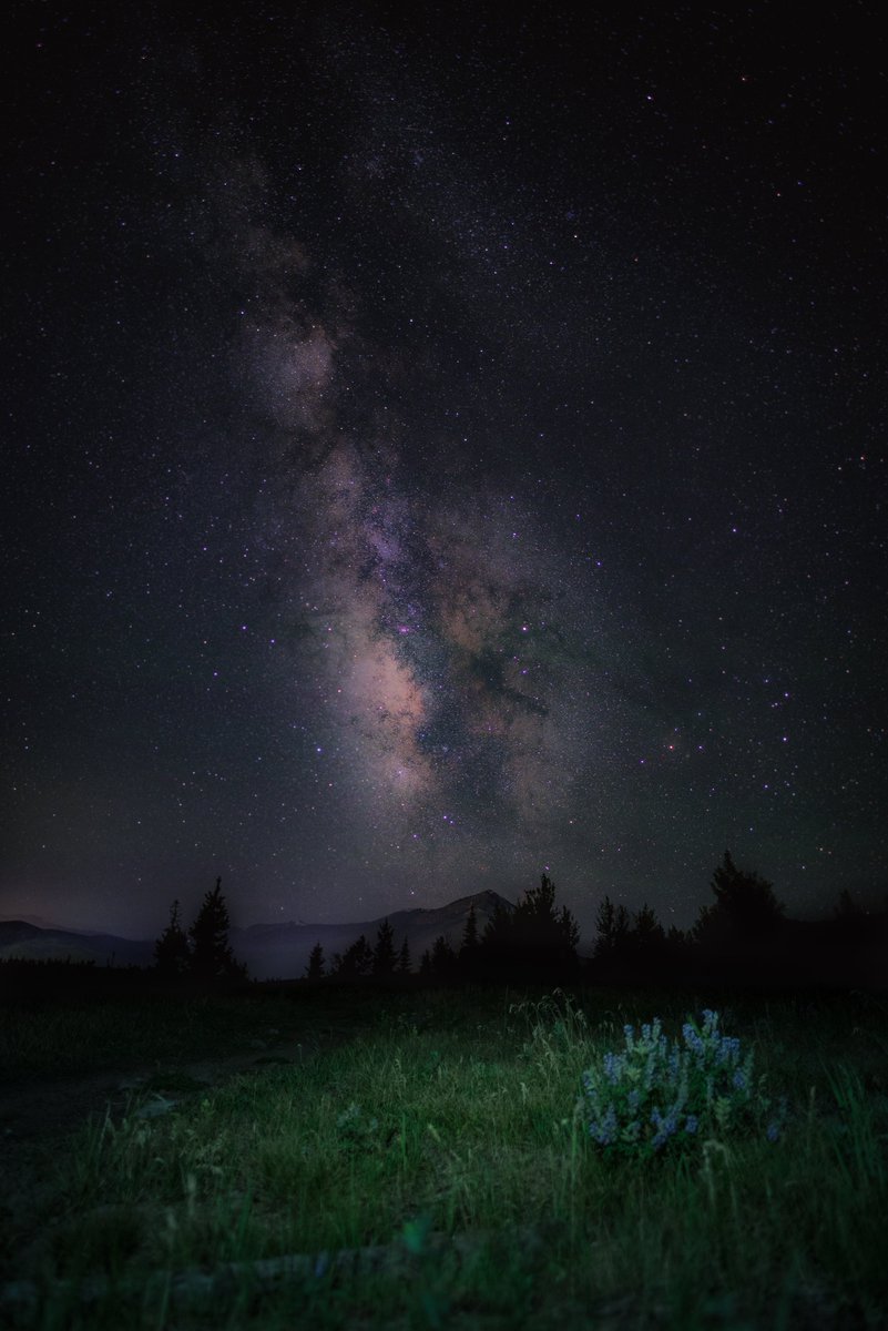 *Hint: Now that Central Idaho has been named a dark sky reserve, it would be awesome if there was a camp where you could, I don't know, volunteer and view the Milky Way. <a href="/camprainbowgold/">Camp Rainbow Gold</a>