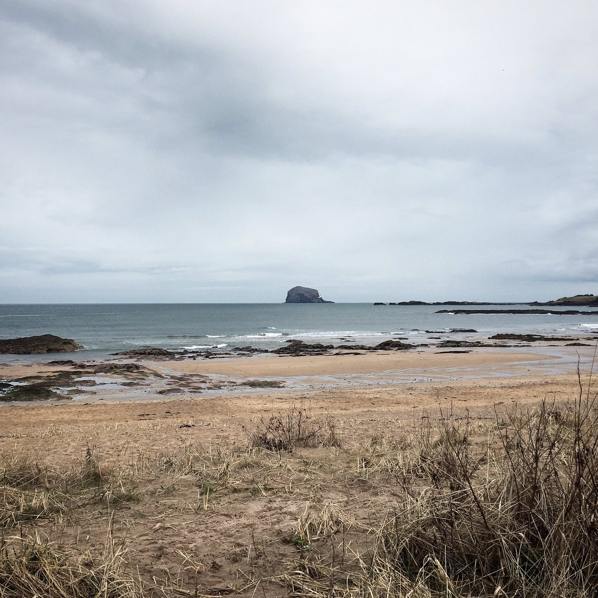 Kenickie_M's tweet photo. Great view en route to this morning's project. #KBNM #Störmer #Germankitchen #madeingermany #northberwick #bassrock #edinburghhome #edinburghdesign #edinburghjoinery #edinburghkitchen #edinburghinterior #eastlothian https://t.co/mG5Drm4oHe