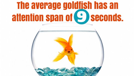 TheTracieCantu's tweet image. A human has a shorter attention span than a goldfish?!?!

Someone should tell Netflix their binge watching biz model is wrong.

#bullshit 
#LearningMyths