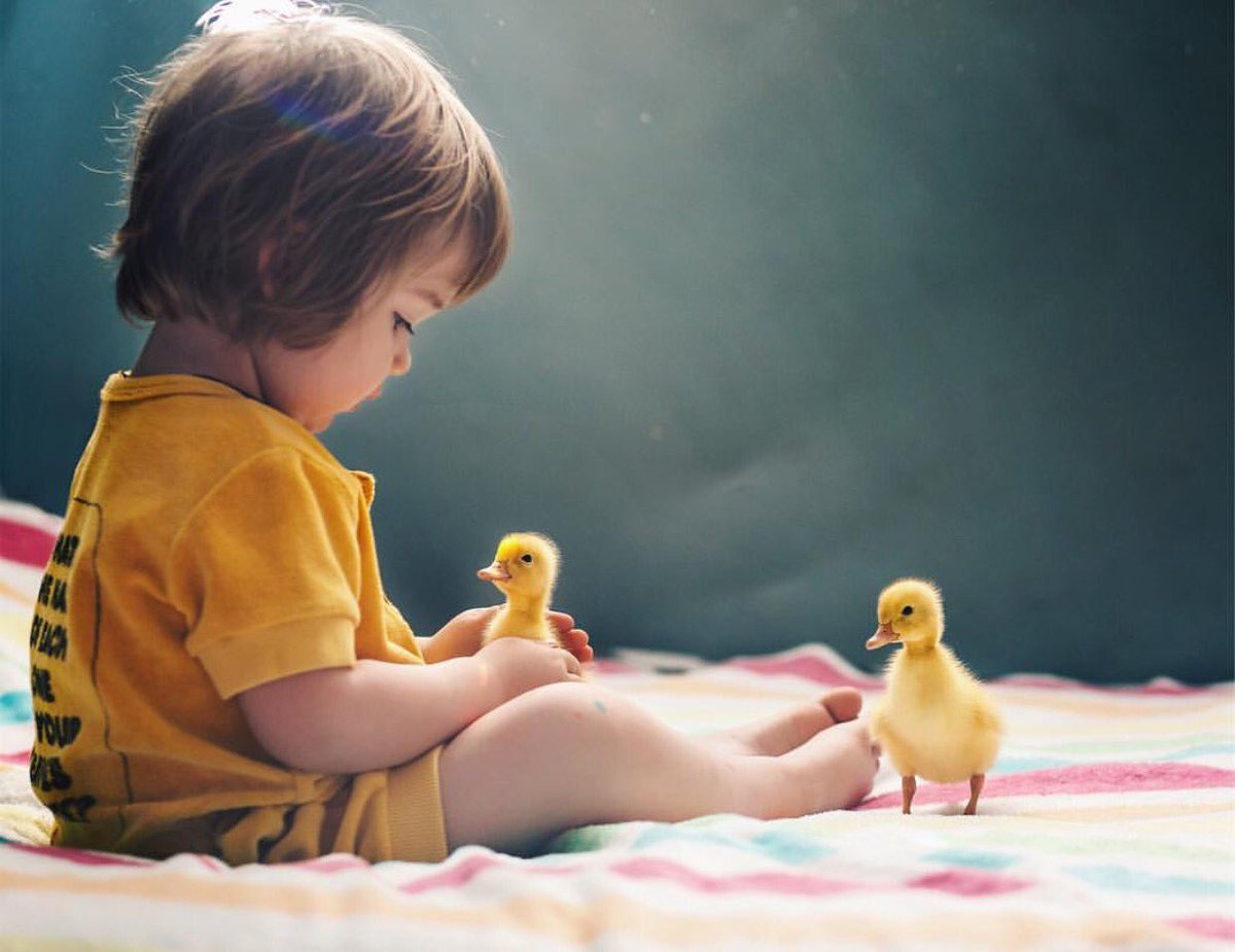 Caravaggioss_'s tweet photo. Cute 🐥 https://t.co/M9TMVOvXdY