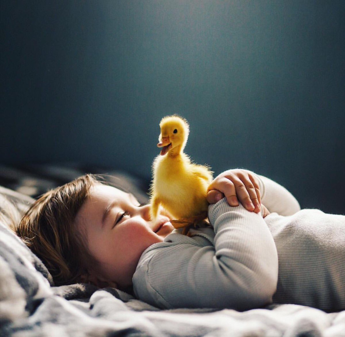 Caravaggioss_'s tweet photo. Cute 🐥 https://t.co/M9TMVOvXdY