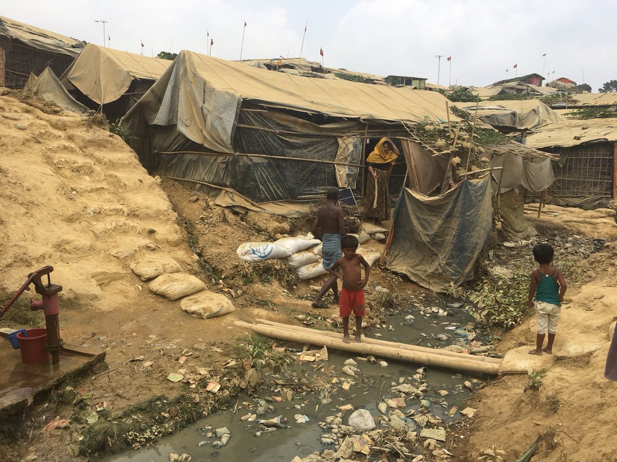 Religious Freedom Institute tweet media