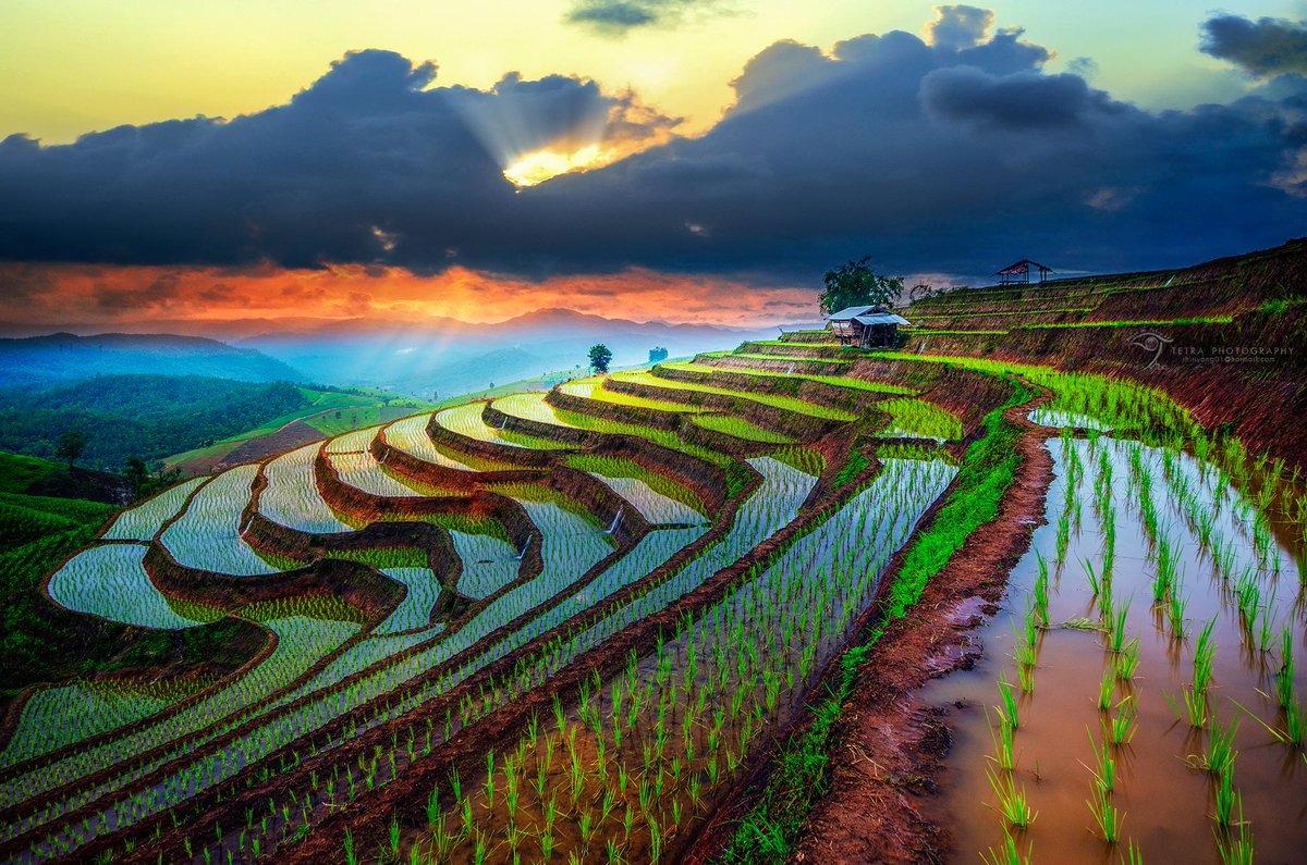 Vietnam / Southeast Asia / JFW