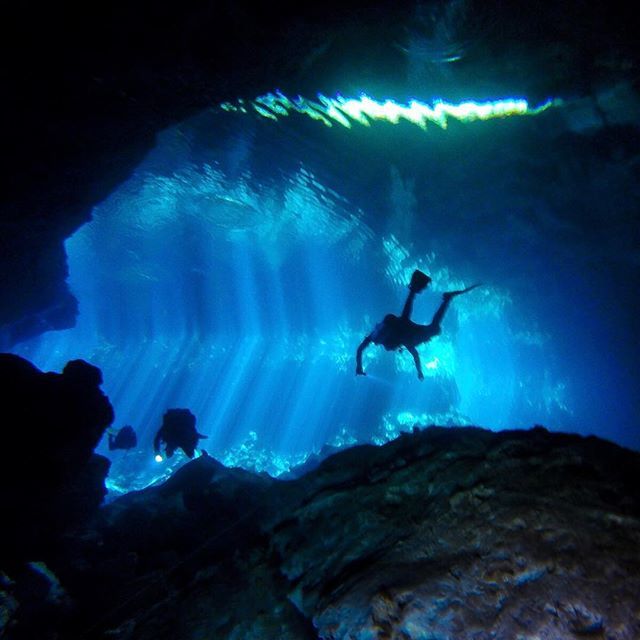 hydra_therapy's tweet image. Another epic view from the caverns of Jardin del Eden Cenote. .
.
.
#divedestination #scubatrip #scubalife #scubasteve #scubaplaya #scubagirl #scuba_diving #scubadiverlife #scuba_dive #cenotediving #cenotesdecandelaria #cenoteazulplayadelcarmen #scubatri… ift.tt/2GeHH40