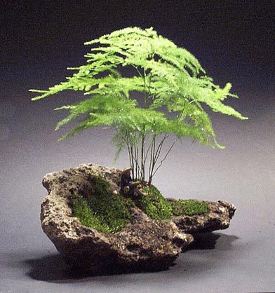 topterrarium's tweet photo. @art_terrarium #terrariums #terrarium #plantsmakepeoplehappy #urbangarden #glasssculpture #handmade #interiordesign #sculpture #design #art #plants #miniecosystem #moss #succulents #homestyle #botanical #mossterrarium #mossarium #terrariumshop #Japan #landscape #mosslight https://t.co/GT30pUiloZ