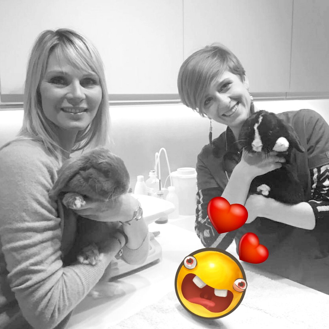 Bientôt sur c8 les amis ! Branchez vous sur les animaux de la 8 le dimanche 8 avril 10h50 pour un sujet sur les soins courants du lapin ! <a href="/Vet4Care/">Vet4Care</a> @_fuckasteroids <a href="/MonChatEstRoi/">MonChatEstRoi 🐱👑</a> @chokodoc <a href="/IRusso13/">Isabelle</a> <a href="/GeneralPatate/">Général J. 🍋</a> <a href="/LehmannBro/">LehmannBro, Esq. 🇺🇦🇵🇸</a> <a href="/lecrabedu72/">🦅🇨🇵♿️ Le Crabe du 72 ♿️🇨🇵 🦅</a>