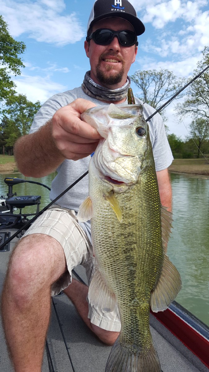 jthobbs210's tweet photo. Yeah baby! Caught several nice ones in spawning pockets on Gambler super studs. @gamblerlures #bassfishing #superstud #spawn https://t.co/Kf5CHcbY36
