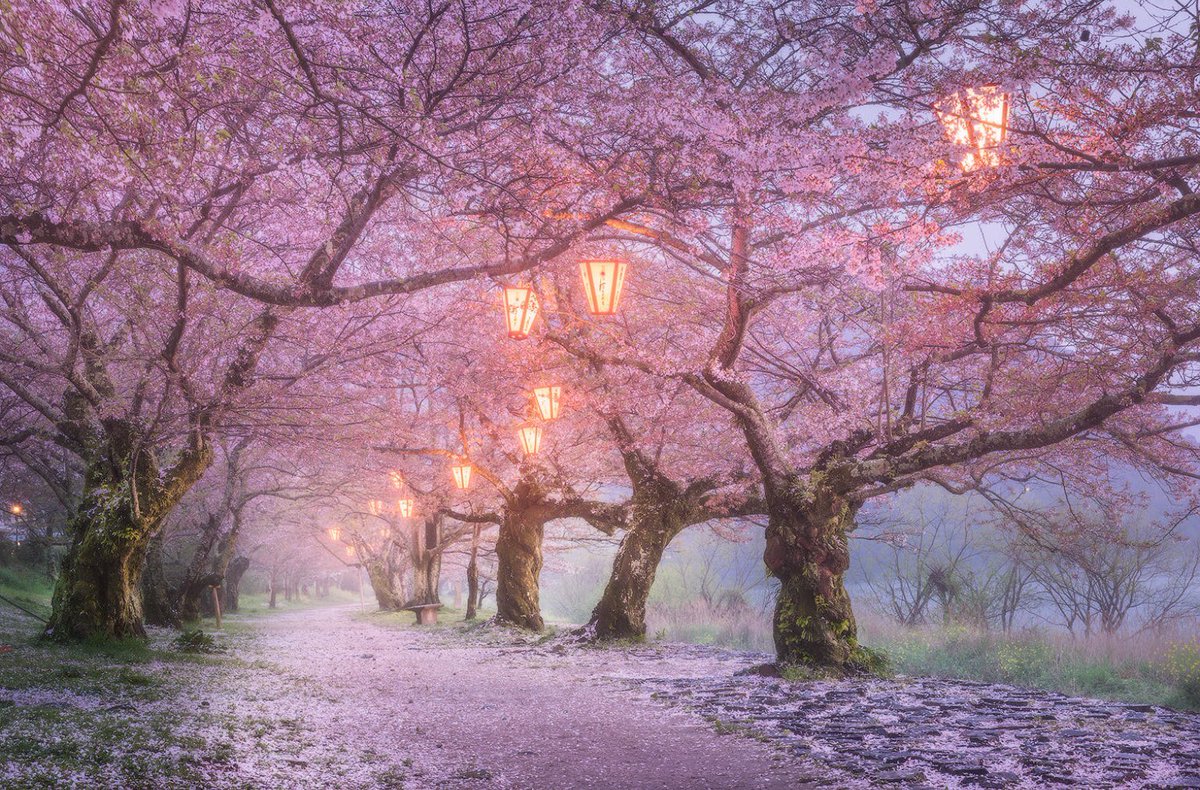 ramblingsloa's tweet photo. Peace is always beautiful.

Walt Whitman https://t.co/vCmL0PqirP