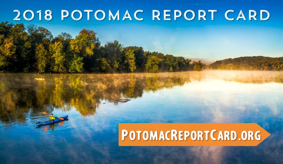 TheNationsRiver's tweet photo. It’s official, our hometown river is making a comeback. The Potomac has earned its highest grade ever! Check it out 👉 https://t.co/UWYb4K2gt5 #PotomacReportCard https://t.co/mXS6HZA4yA