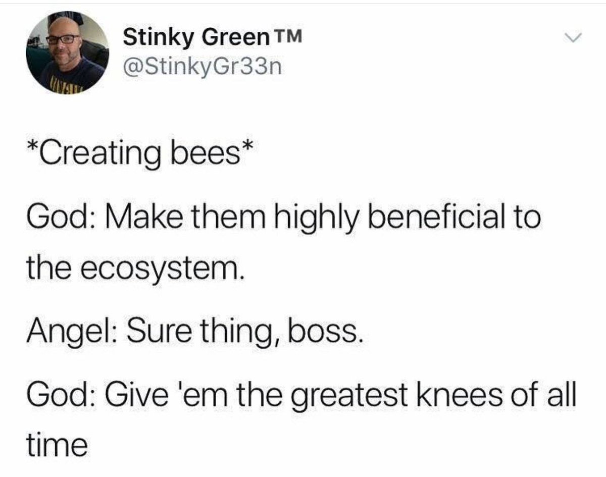 WholesomeMemes tweet media