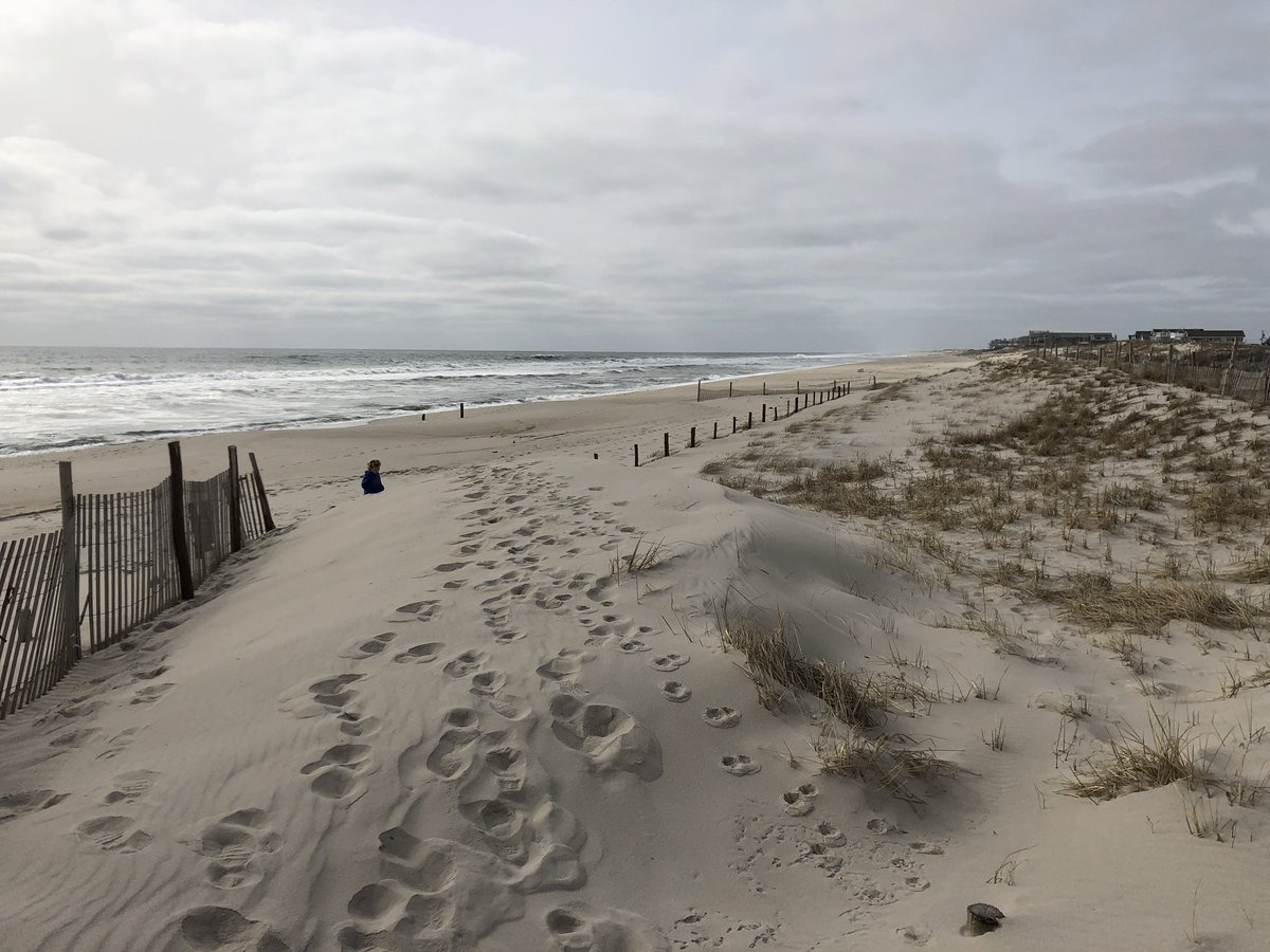 DominickSolazzo's tweet photo. Proper placement of storm fences is critical when properly managing a Dune system if fencing is used improperly it will result in sand deposits in areas where it is not wanted https://t.co/HRXfid1jS8