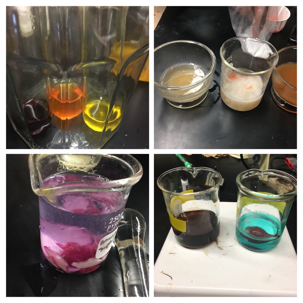 MrJOlsen's tweet photo. Making some homemade acid/base indicators. These brilliant students found some interesting ones. #PNchemistry2 #GoDoStuff https://t.co/pWftZLGArl
