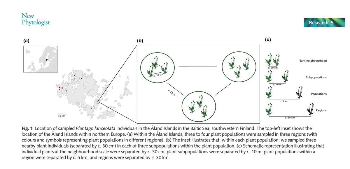 DEEP at Stockholm University tweet media