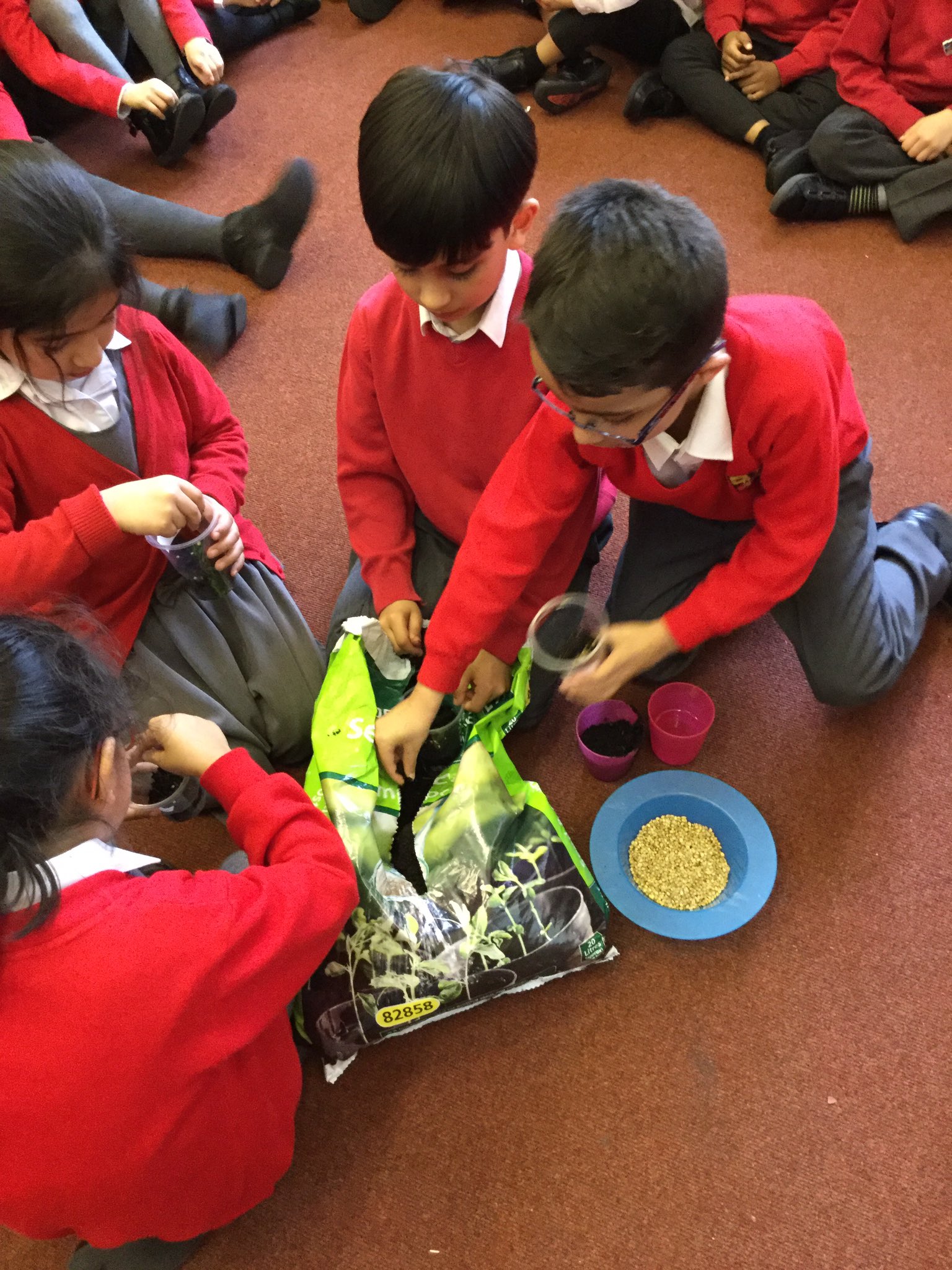 Leigh Primary School on Twitter "1T enjoying planting coriander seeds