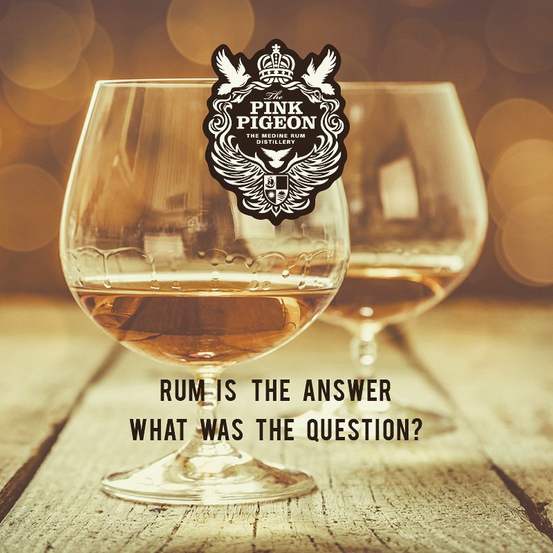 Quote of the day ! #pinkpigeon