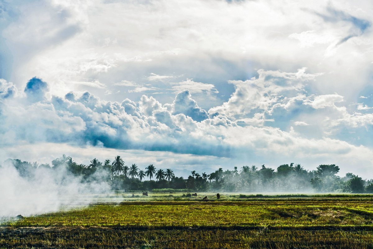 Condé Nast Traveller tweet media
