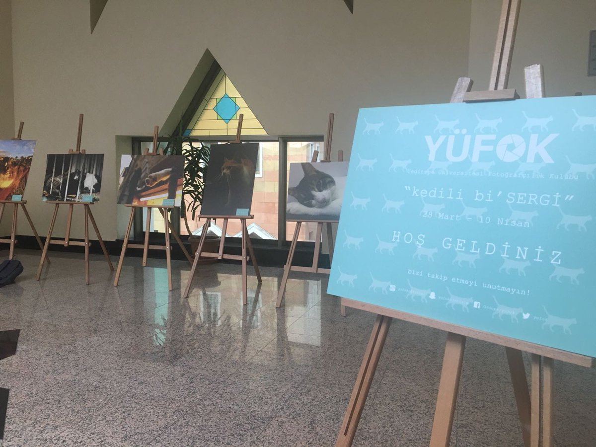 Hey bugün büyük gün... 🐾 “Kedili bi’SERGİ” Sosyal Tesisler 1.Kat’ta yerini aldı! 📸