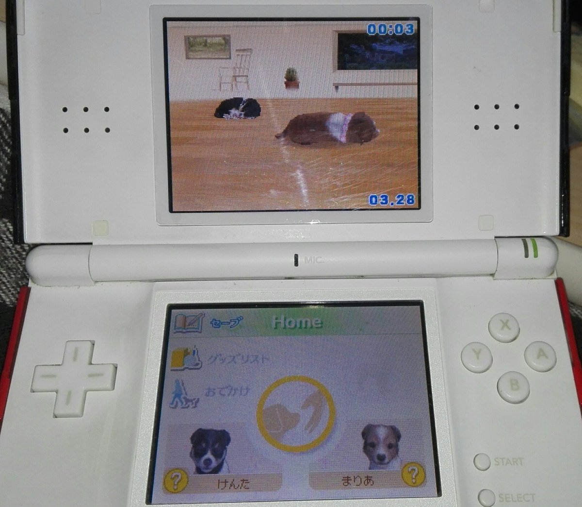 ニンテンドッグス ニンテンドッグス