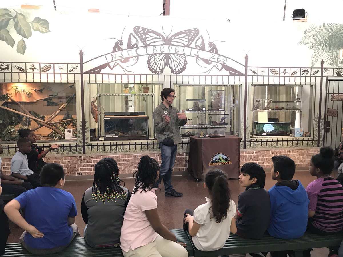 Class trip to Insectropolis