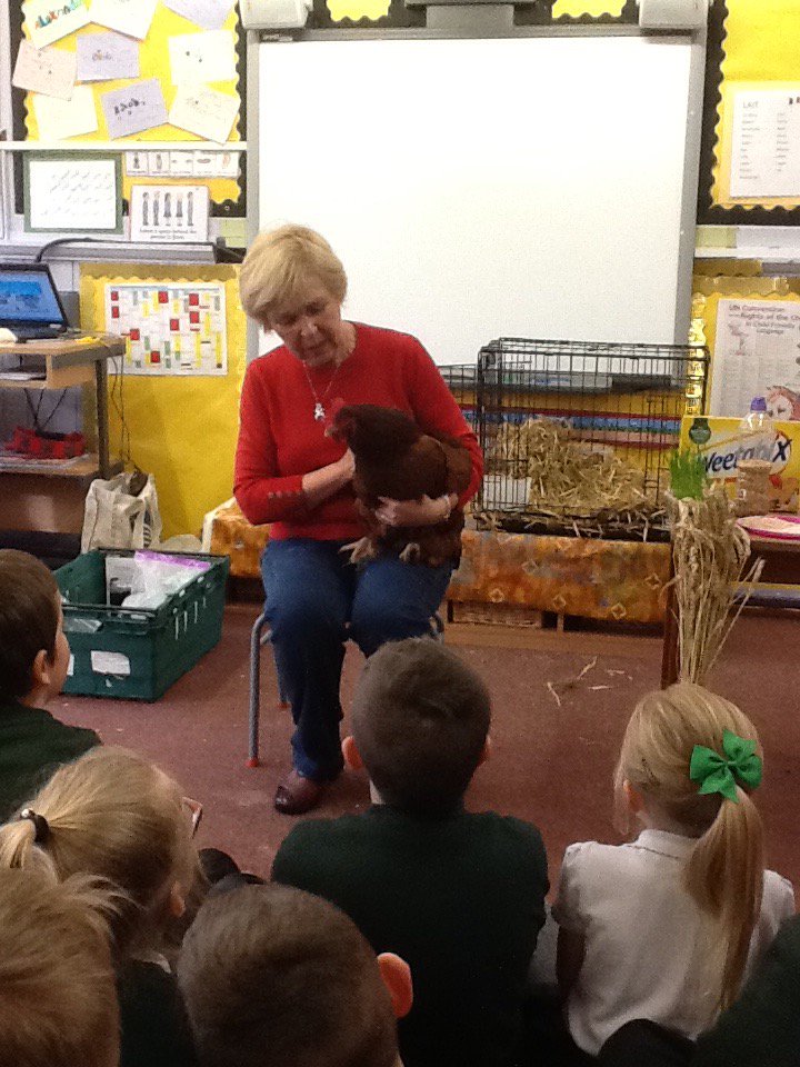 st_marys_leith's tweet photo. Primary2a had a fantastic visit from Farmer Barbara @TheRHET. She brought a hen and explained all about how food gets from the farm to the plate.  Very interesting! https://t.co/p1qNlZuocl