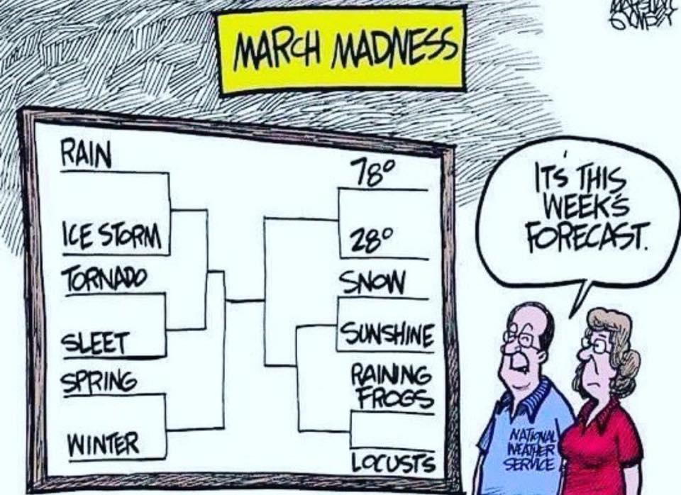 MikeNiccoWX's tweet image. I pick Tornado vs Raining Frogs for the final with Tornado winning in OT.
#weatherhumor