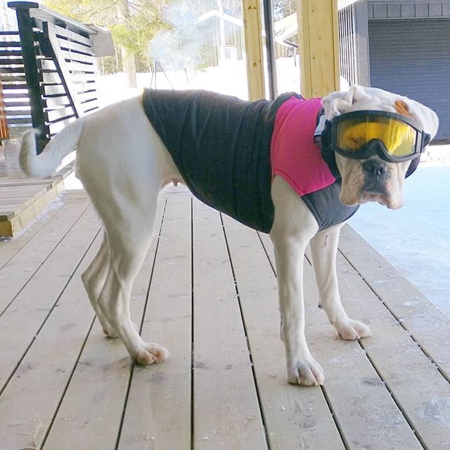 elminde's tweet image. Klar for skitur! #snowbabe bit.ly/2I8NHM6