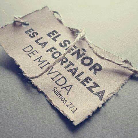 RespaldoDCielo's tweet image. 🌻En medio de nuestro proceso y de nuestro dolor esta #Jesus esperandonos para fortalecernos y levantarnos!🙏
#ElSeñorEsLaFortalezaDeMiVida💪😀
#BuenMartes