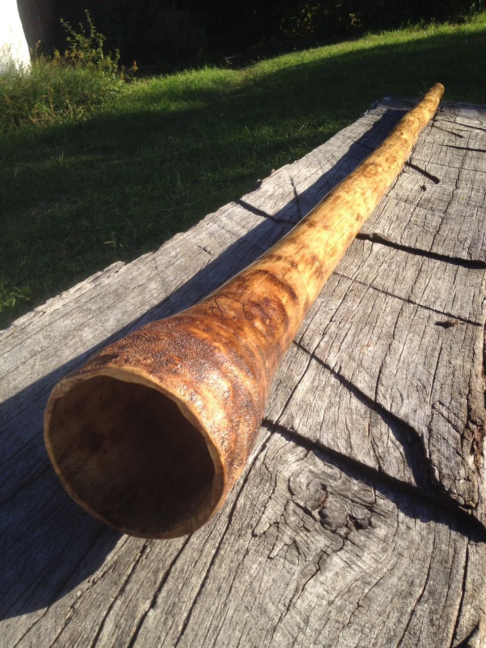 Agave didgeridoo online