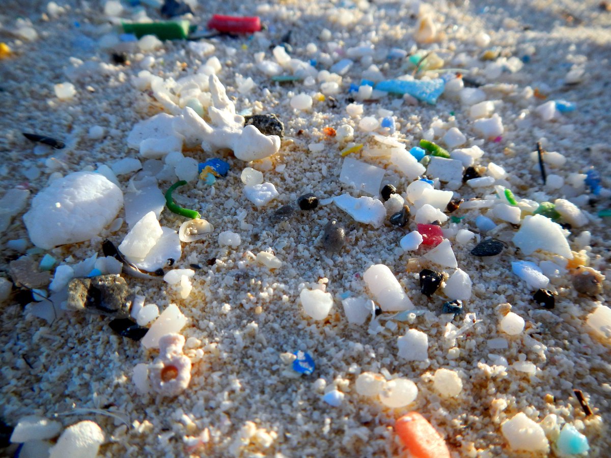 Microplastic fragments on a beach.