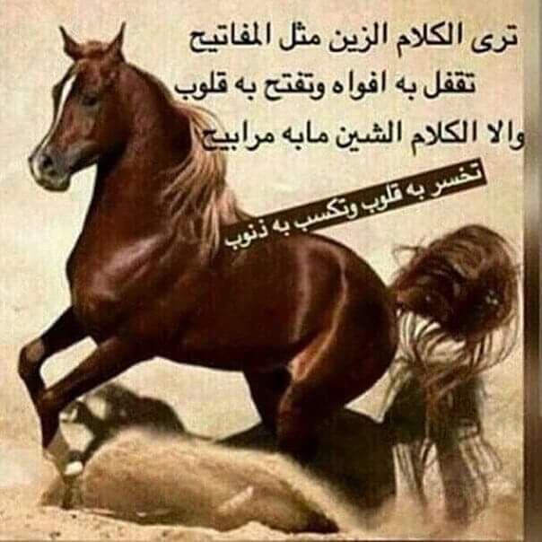 Ahmad2e21's tweet photo. https://t.co/fBH05EHbEX