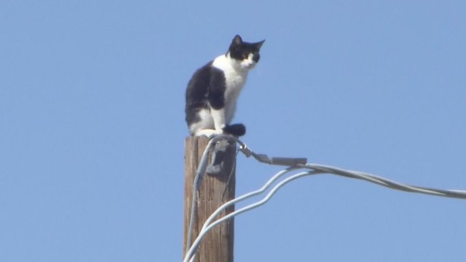 View image on Twitter