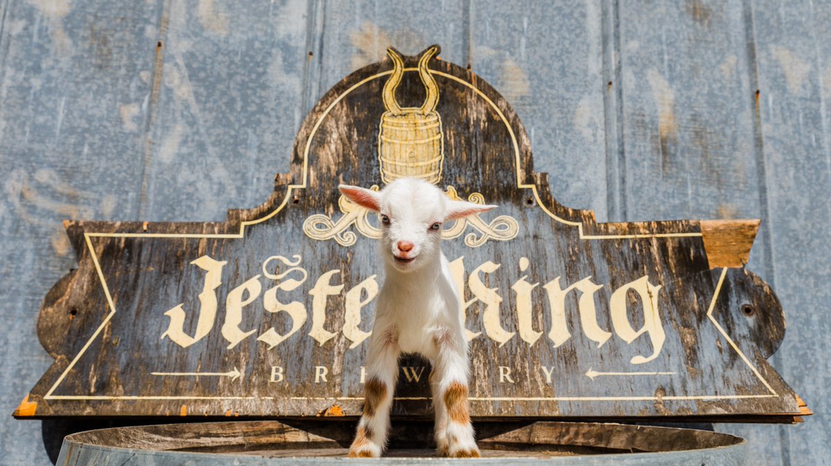 For anyone who'd like to have Easter photos taken with our baby goats, Farmer Peppy will be at the farm from 10am to Noon on Sunday morning. All are welcome!

Also, our tasting room is open Easter Sunday from 12-9pm.