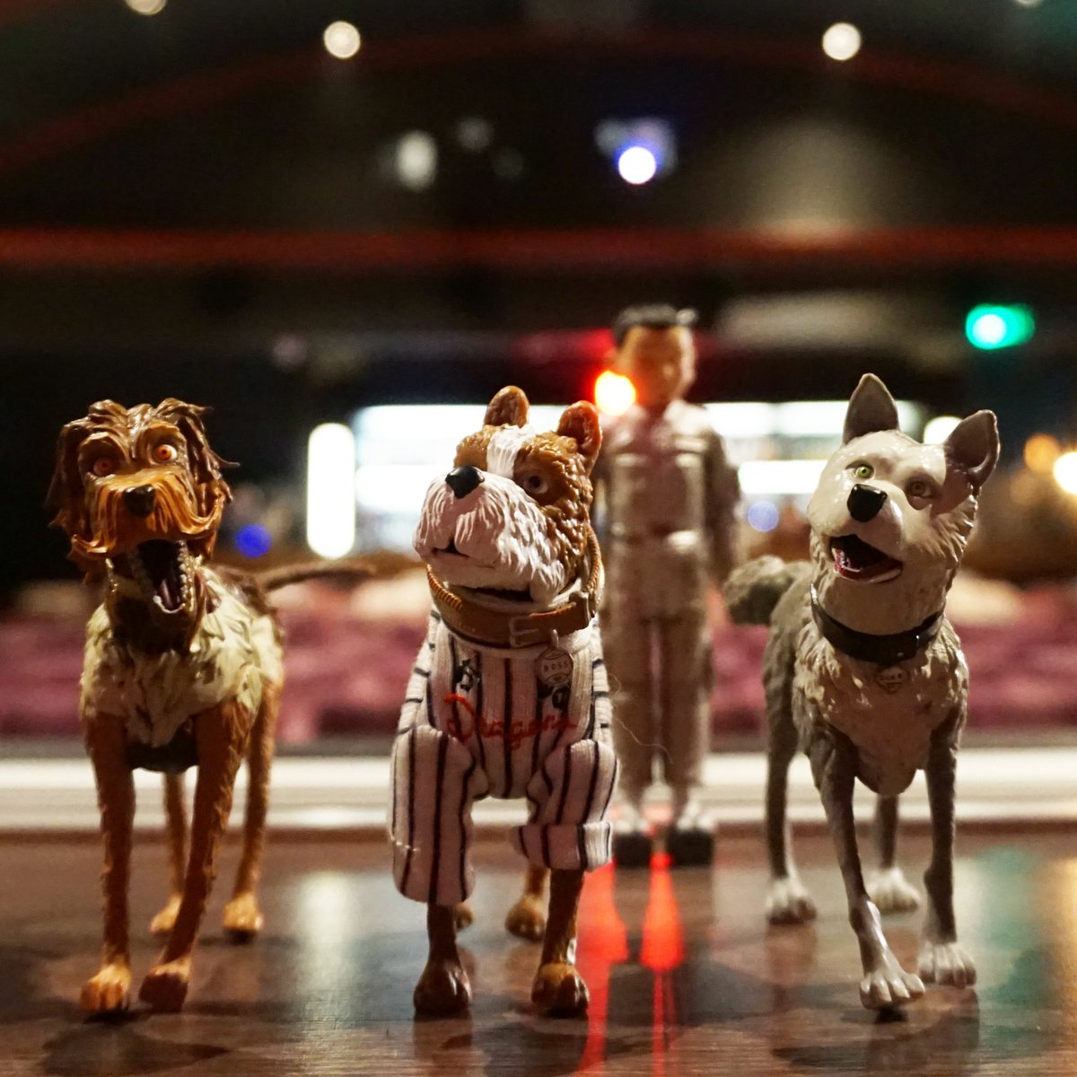 Everyman Cinema tweet media