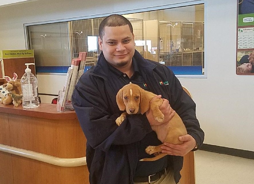 Brandywine Valley SPCA tweet media