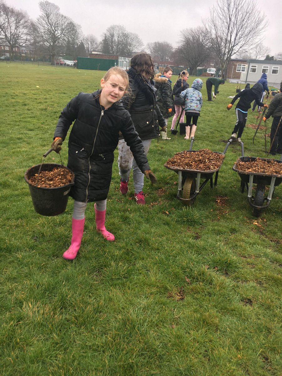ButtonLane_'s tweet photo. #class5CE had a fantastic experience planting trees today with @CityofTreesMcr despite the weather! https://t.co/cDgVMForsR