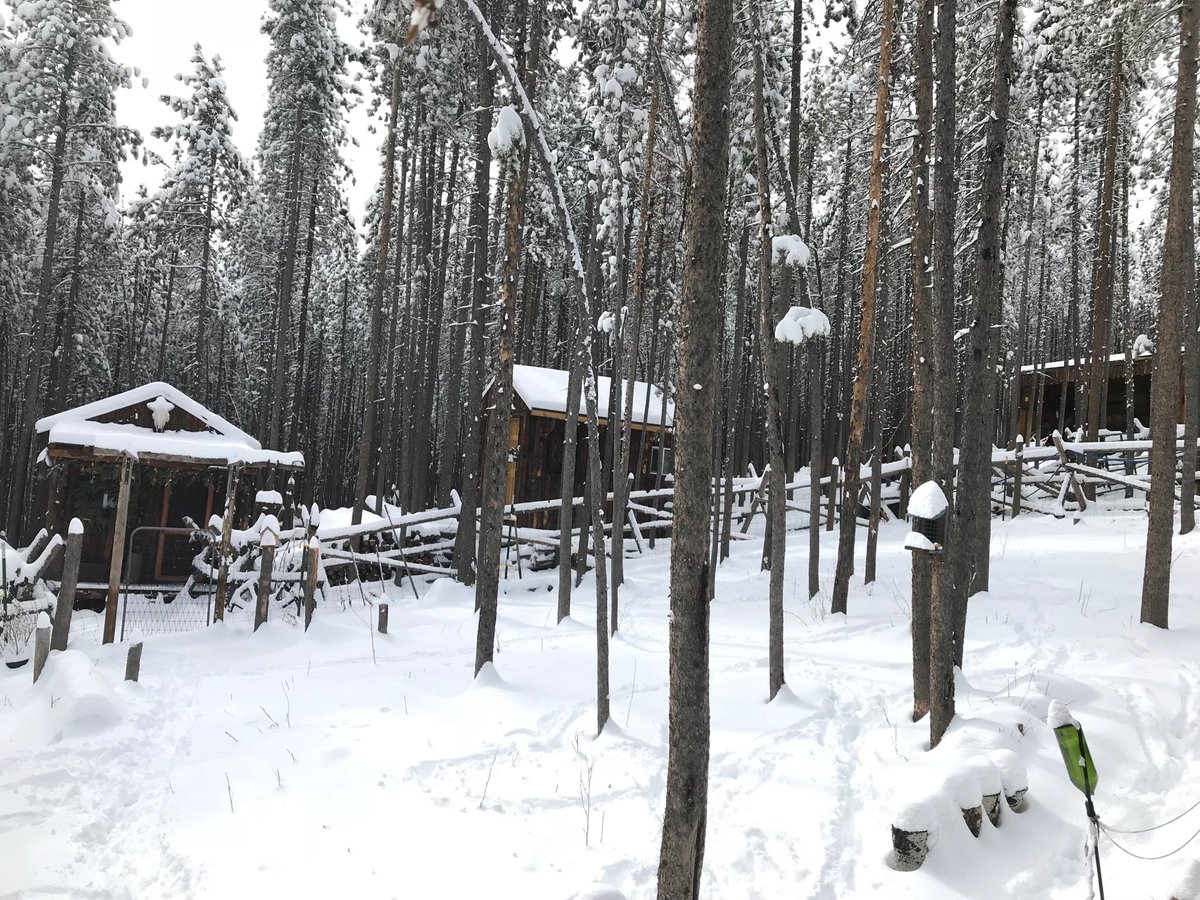 MJBuffsVoice's tweet image. Good to have the white stuff back! #SpringinColorado #Rockymountainsnow