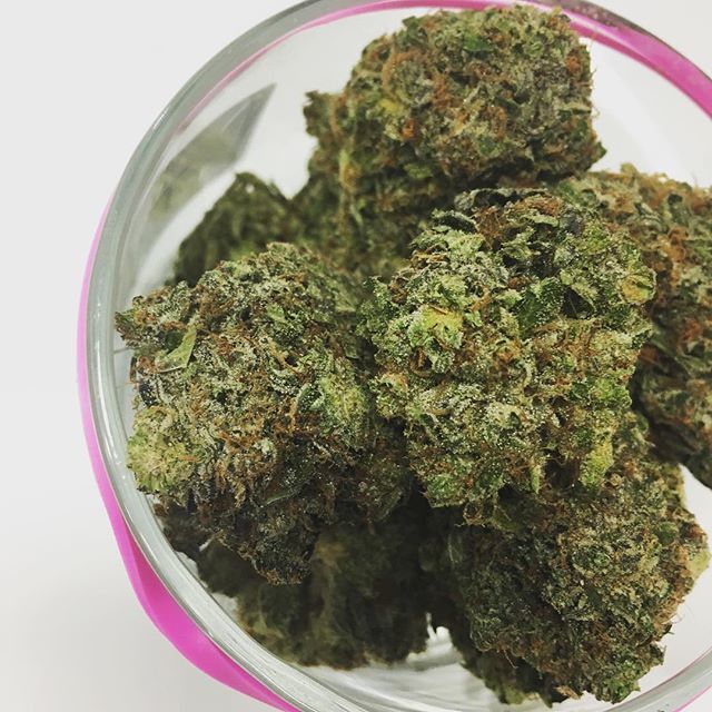 Party like a Pink Rockstar, especially on a Tuesday!  #highsocietytoronto #highsociety #skyhigh6 #weedmakeseverythingbetter 
#putagramonit #newphone #webackonline #pinkrockstar ift.tt/2GdDjm0